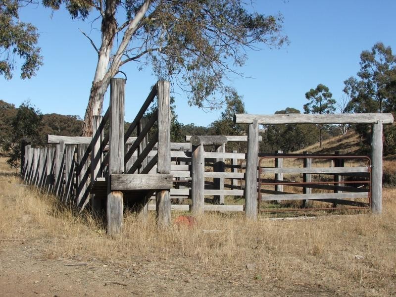 Armidale NSW 2350