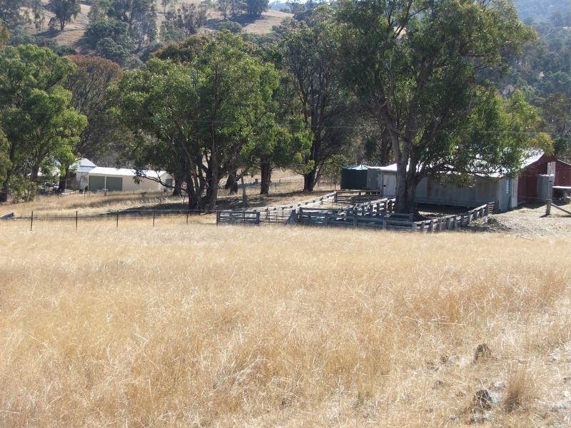 Armidale NSW 2350