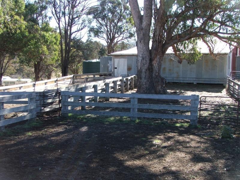 Armidale NSW 2350