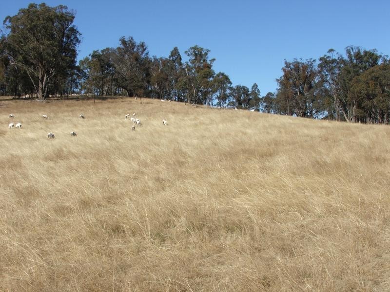 Armidale NSW 2350