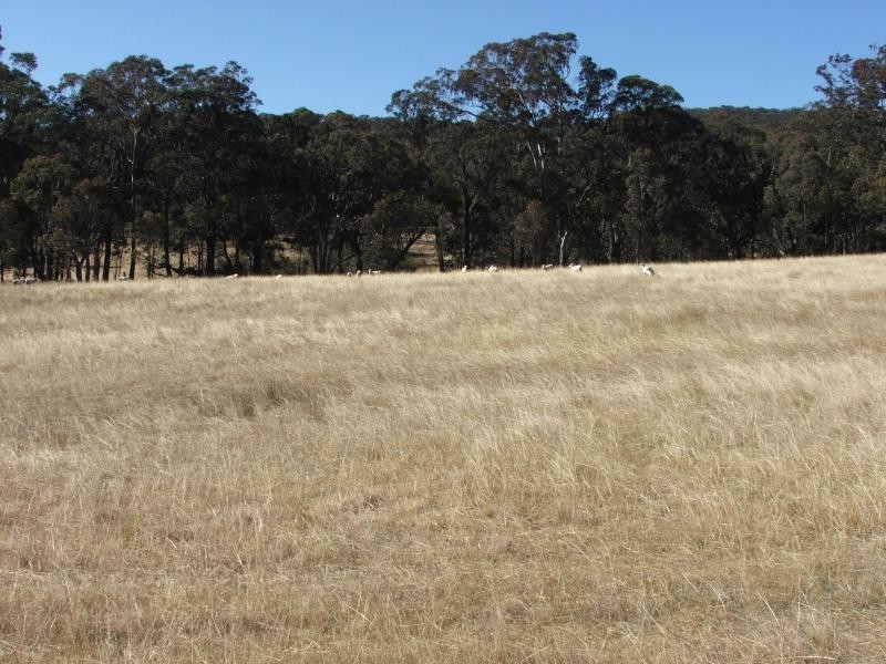 Armidale NSW 2350