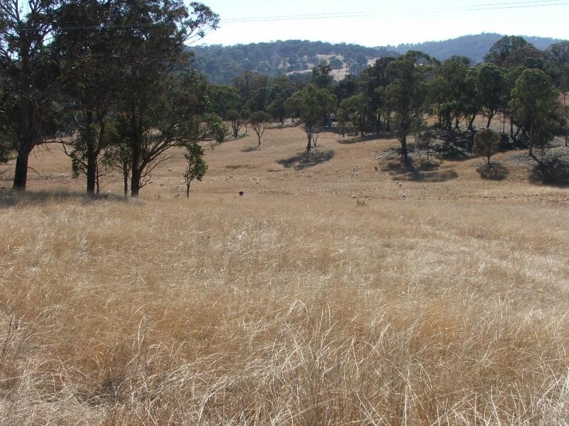 Armidale NSW 2350