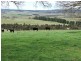 15240 Oxley Highway, Walcha NSW 2354