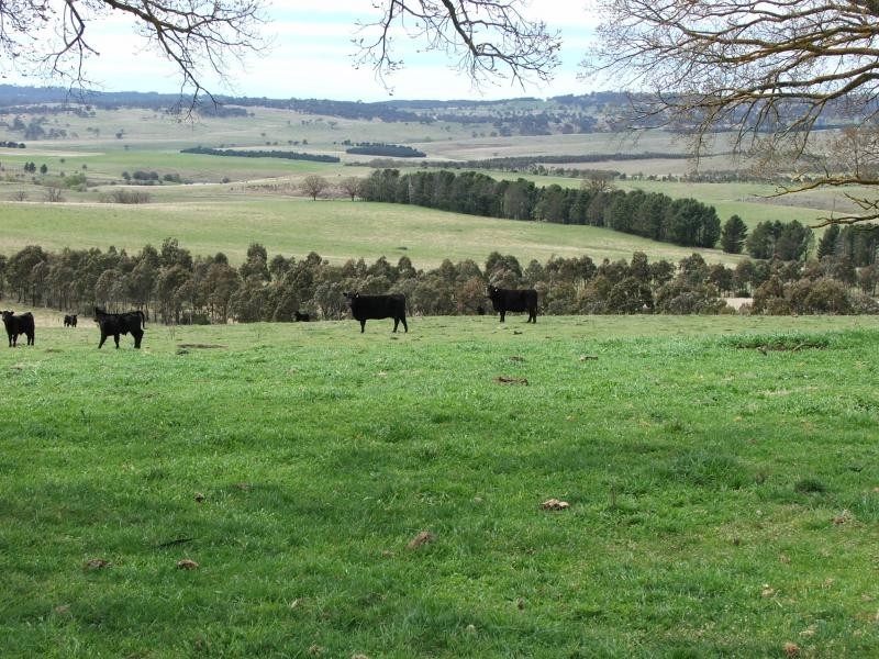 15240 Oxley Highway, Walcha NSW 2354