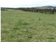 15240 Oxley Highway, Walcha NSW 2354