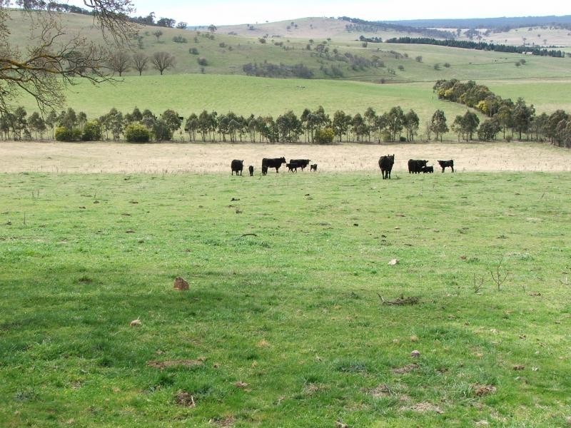 15240 Oxley Highway, Walcha NSW 2354