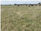 15240 Oxley Highway, Walcha NSW 2354