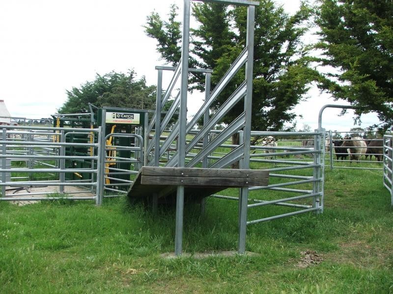 241 Armidale, Armidale NSW 2350