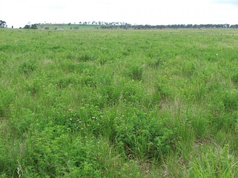 241 Armidale, Armidale NSW 2350