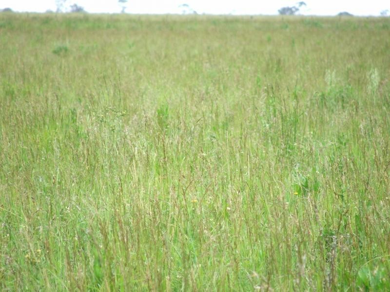 241 Armidale, Armidale NSW 2350