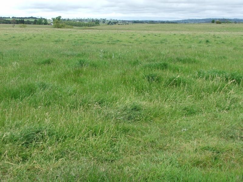 241 Armidale, Armidale NSW 2350