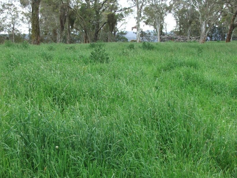 127 Pipeclay, Armidale NSW 2350