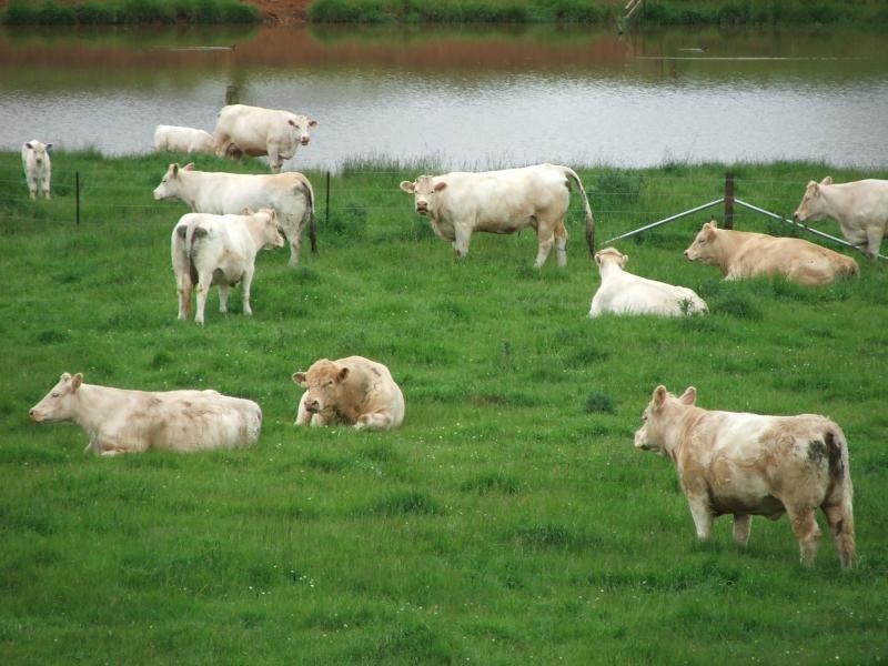 127 Pipeclay, Armidale NSW 2350