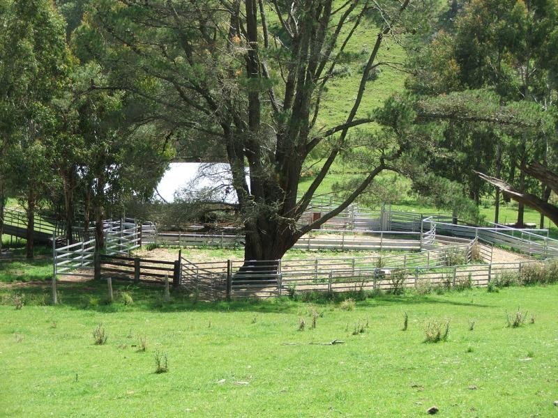 127 Pipeclay, Armidale NSW 2350