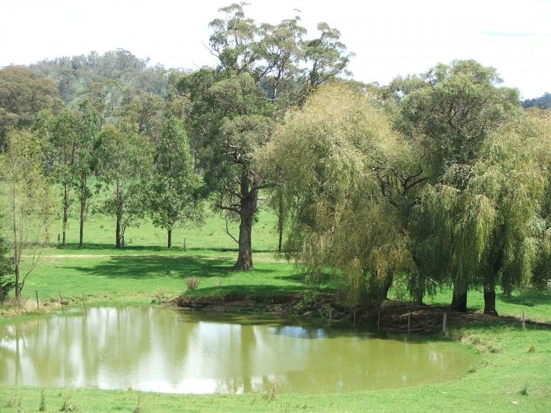 127 Pipeclay, Armidale NSW 2350