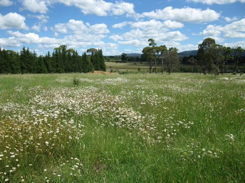 Armidale NSW 2350