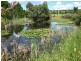 Armidale NSW 2350