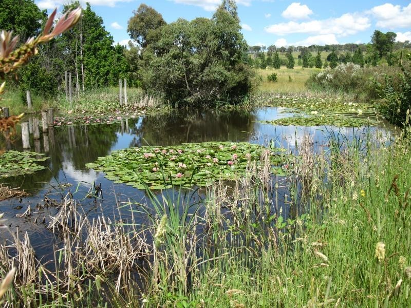 Armidale NSW 2350