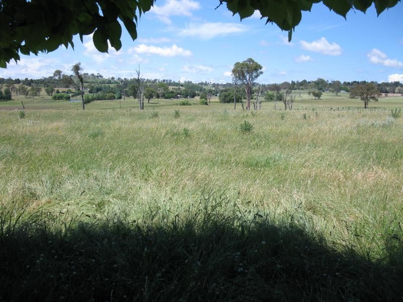 Armidale NSW 2350