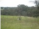 Uralla NSW 2358