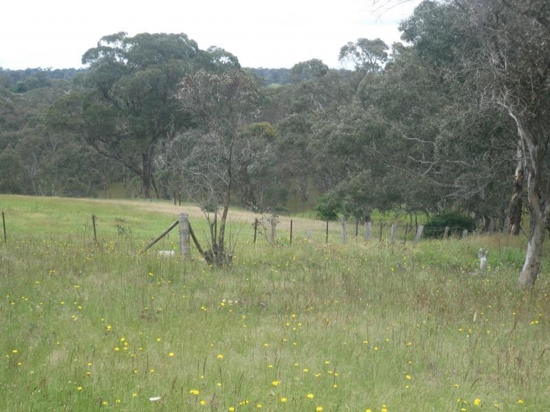 Uralla NSW 2358