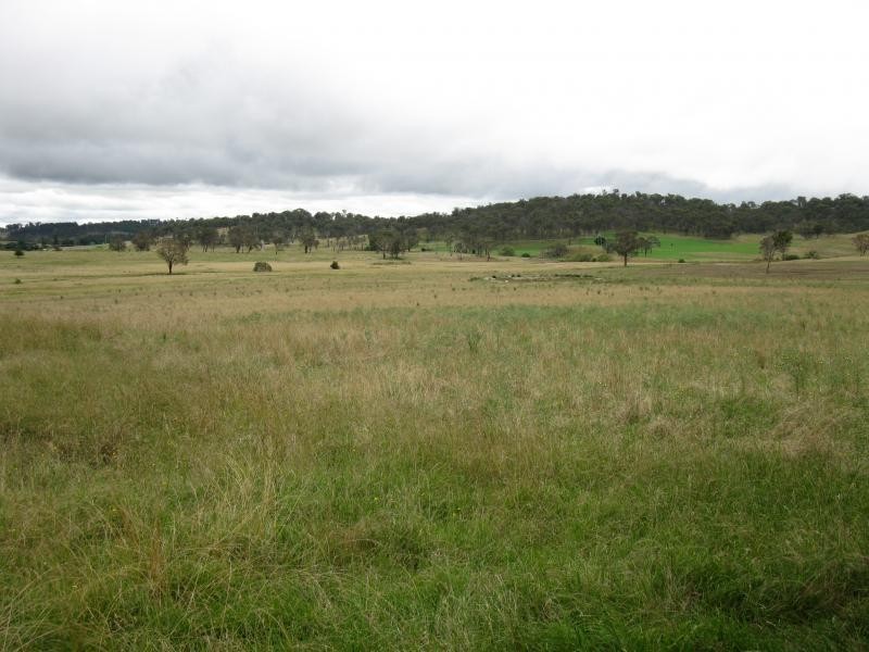 Armidale NSW 2350