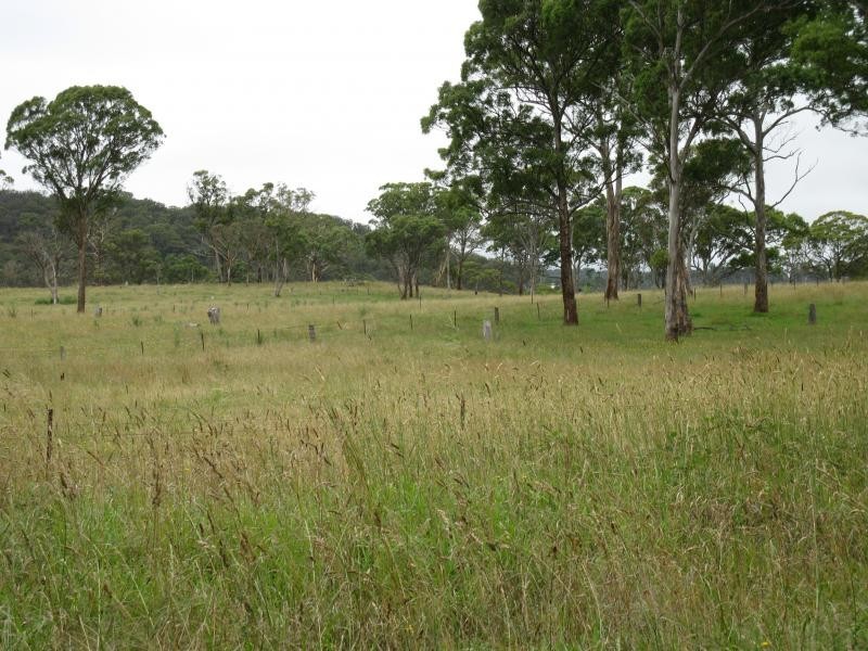 Armidale NSW 2350