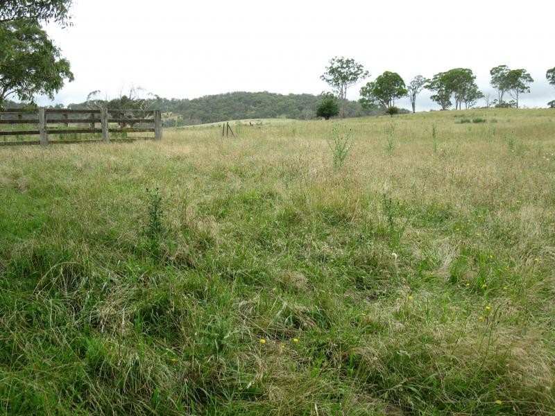 Armidale NSW 2350