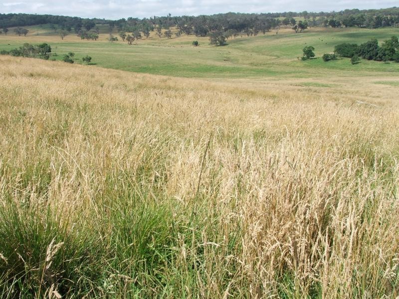 Fishington rd, Armidale NSW 2350