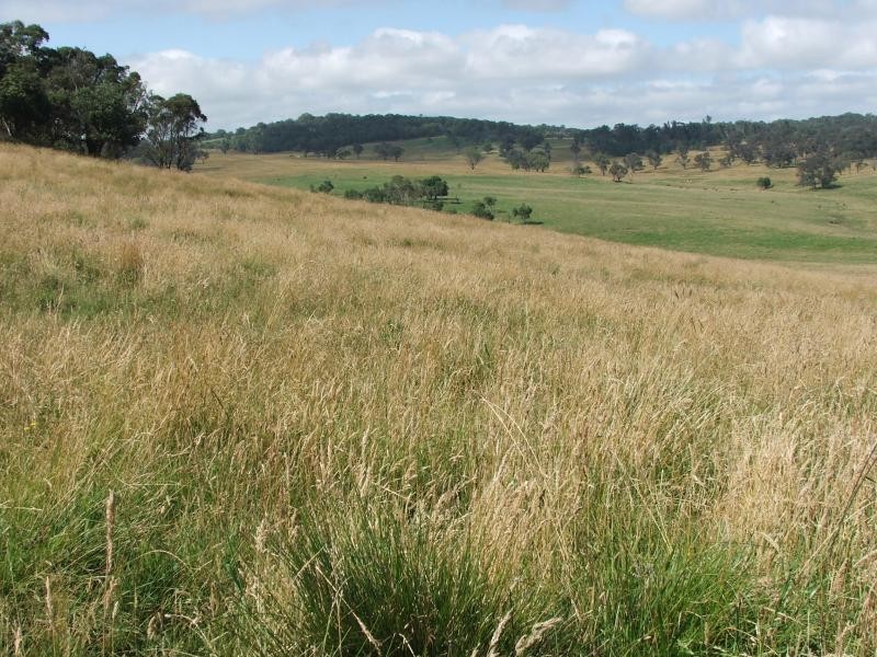 Fishington rd, Armidale NSW 2350