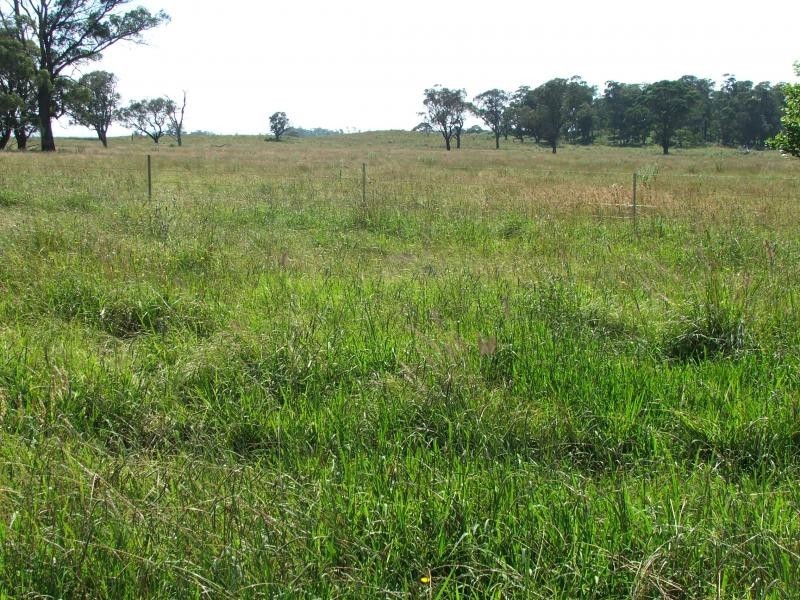 Fishington rd, Armidale NSW 2350