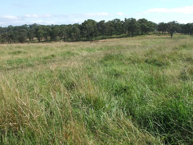 Fishington rd, Armidale NSW 2350