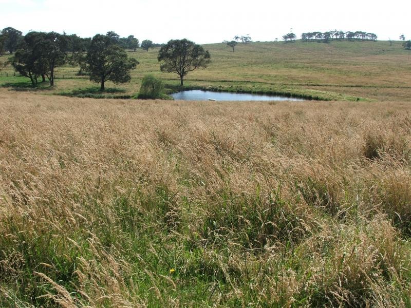 Fishington rd, Armidale NSW 2350