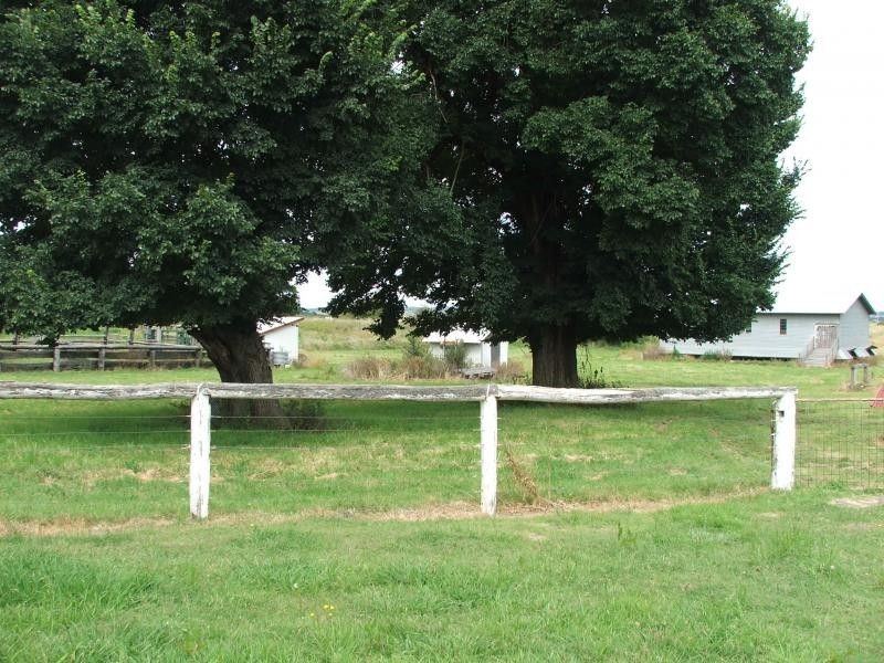 295 Platform rd, Armidale NSW 2350
