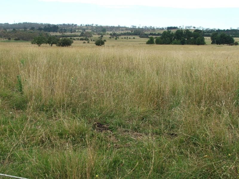 295 Platform rd, Armidale NSW 2350