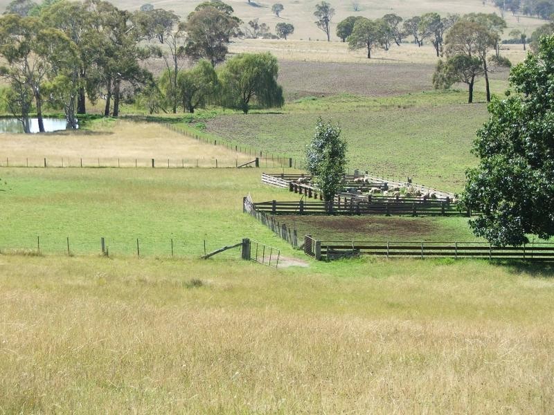 1098 Puddledock rd, Armidale NSW 2350