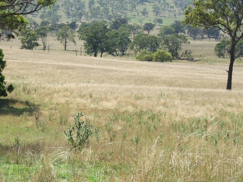 1098 Puddledock rd, Armidale NSW 2350