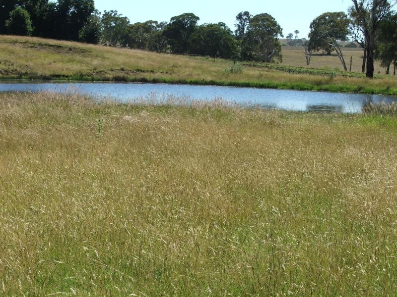 1098 Puddledock rd, Armidale NSW 2350