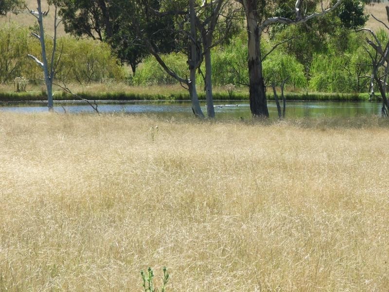 1098 Puddledock rd, Armidale NSW 2350