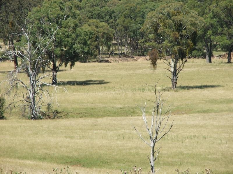 1098 Puddledock rd, Armidale NSW 2350