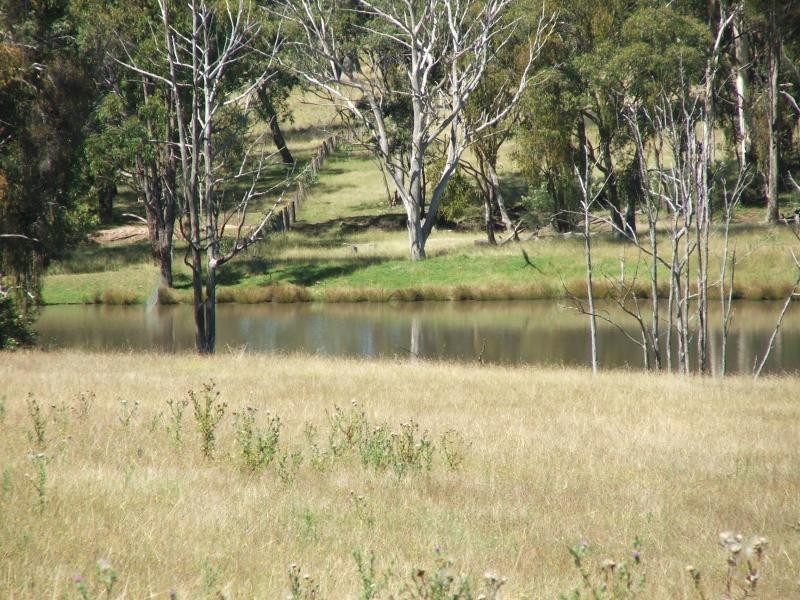 1098 Puddledock rd, Armidale NSW 2350