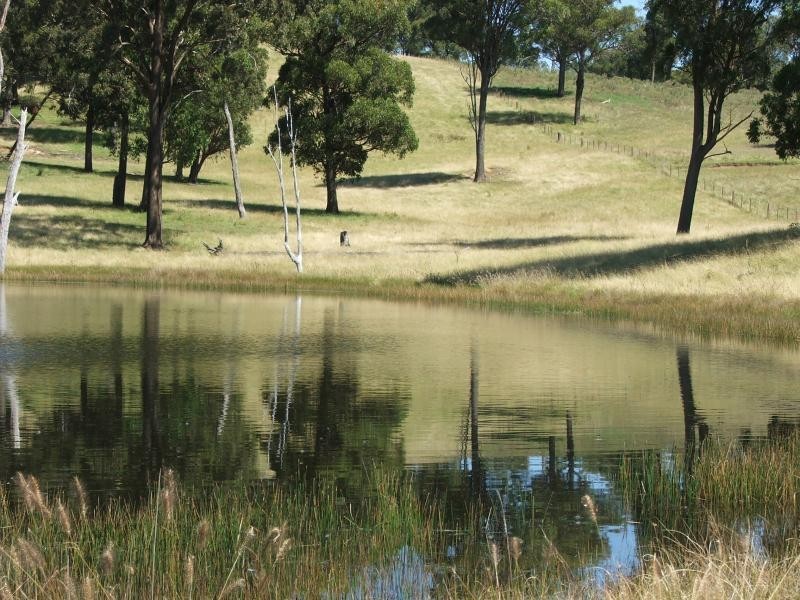 1098 Puddledock rd, Armidale NSW 2350