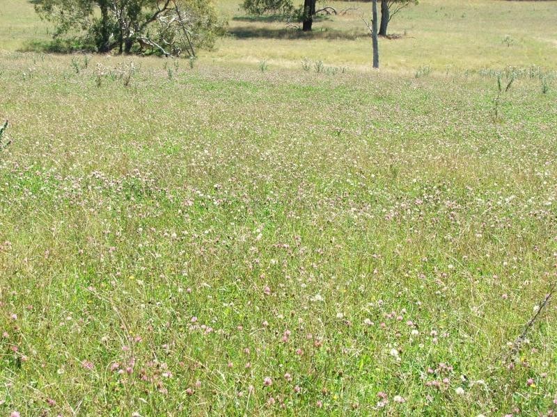 1098 Puddledock rd, Armidale NSW 2350