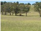 1098 Puddledock rd, Armidale NSW 2350