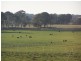 Guyra NSW 2365