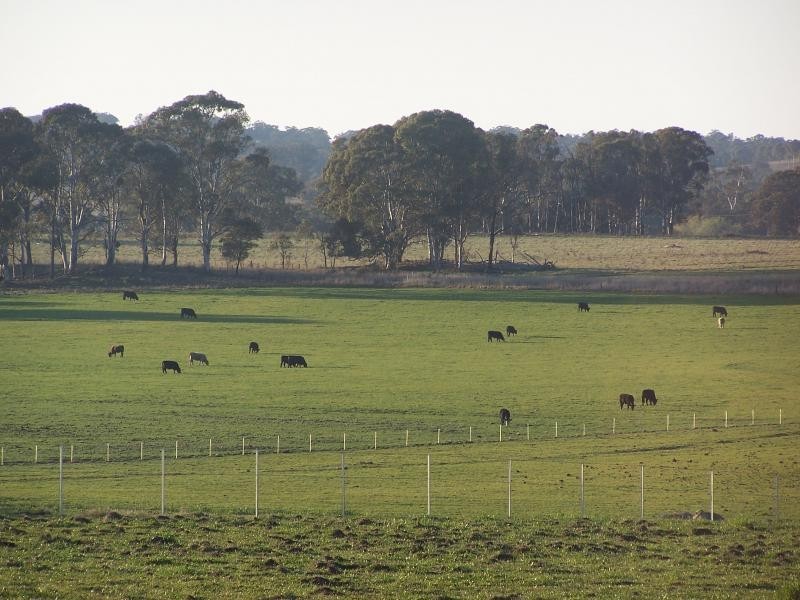 Guyra NSW 2365
