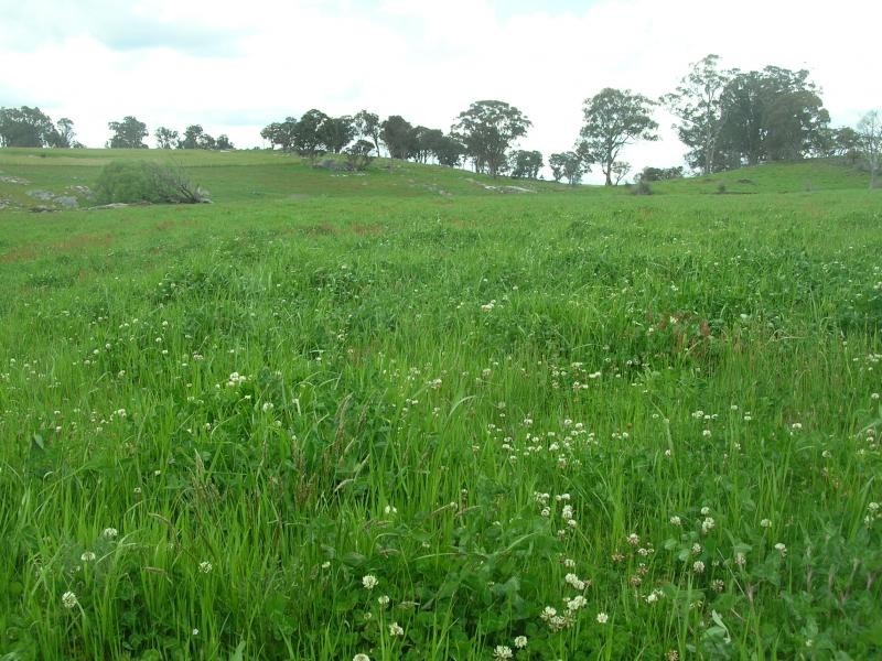 Guyra NSW 2365