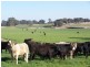Guyra NSW 2365