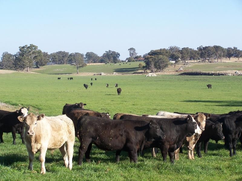 Guyra NSW 2365