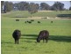 Guyra NSW 2365